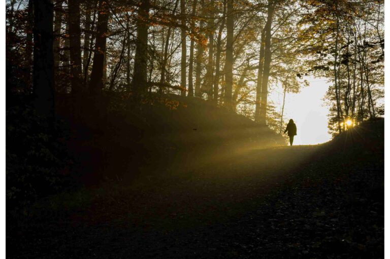 Reinkarnationstherapie – Ein Fallbeispiel