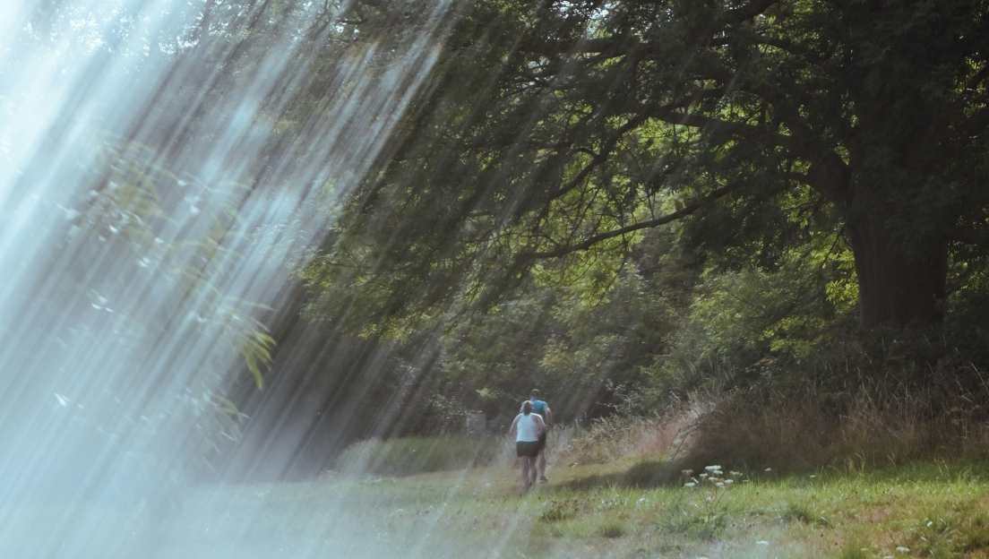 „Lichtstrahlen auf Waldweg – Symbol für Bewusstsein und positive Déjà-vus“